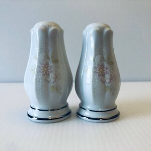 NORITAKE China 2752 TEMPTATION Salt & Pepper Shakers Garden Chinoiserie Style